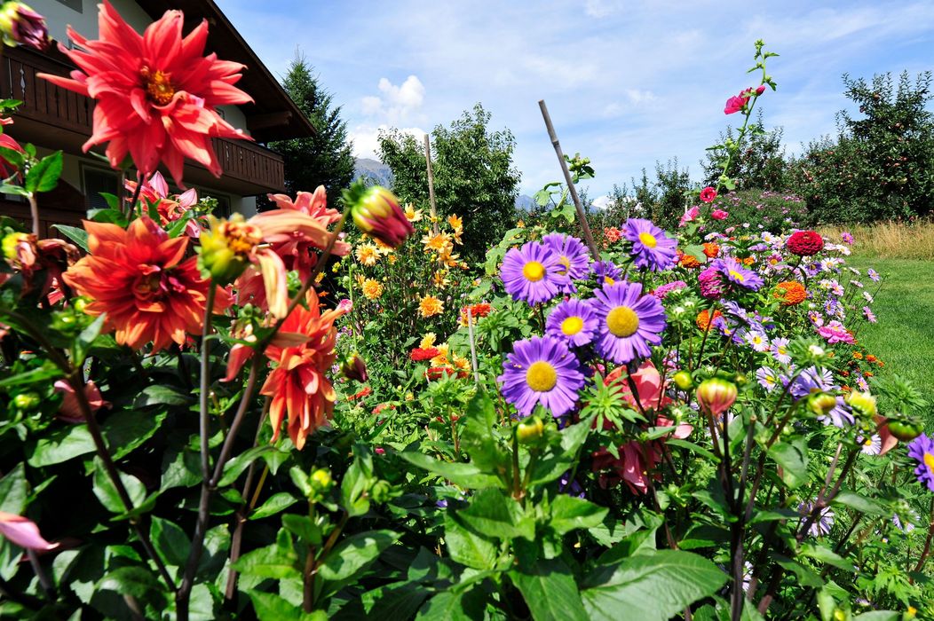 Bunter Blumengarten vor einem Haus mit blauem Himmel.