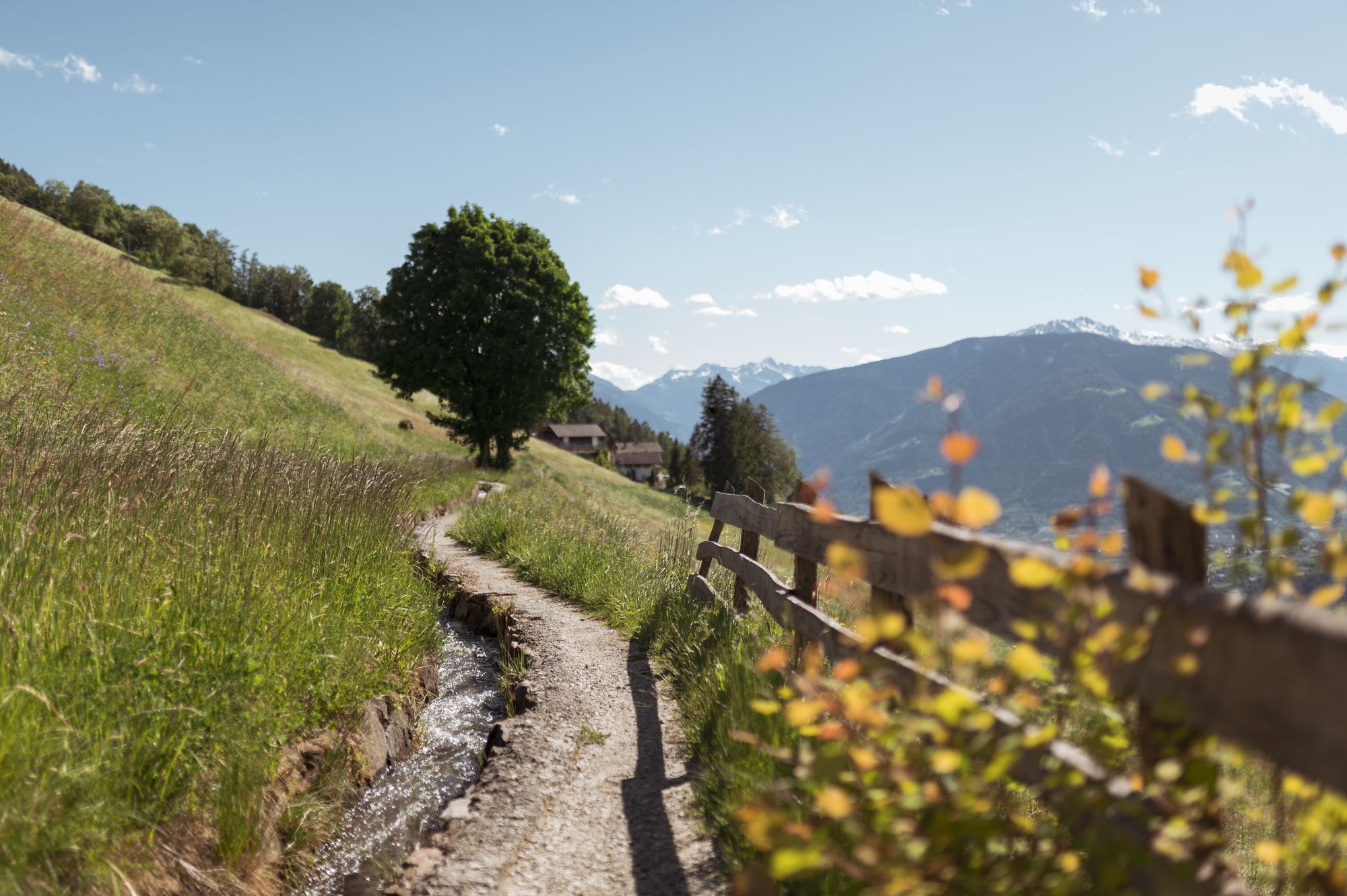 Wanderweg entlang eines Wasserkanals mit Wiesen, Bäumen und Bergen im Hintergrund