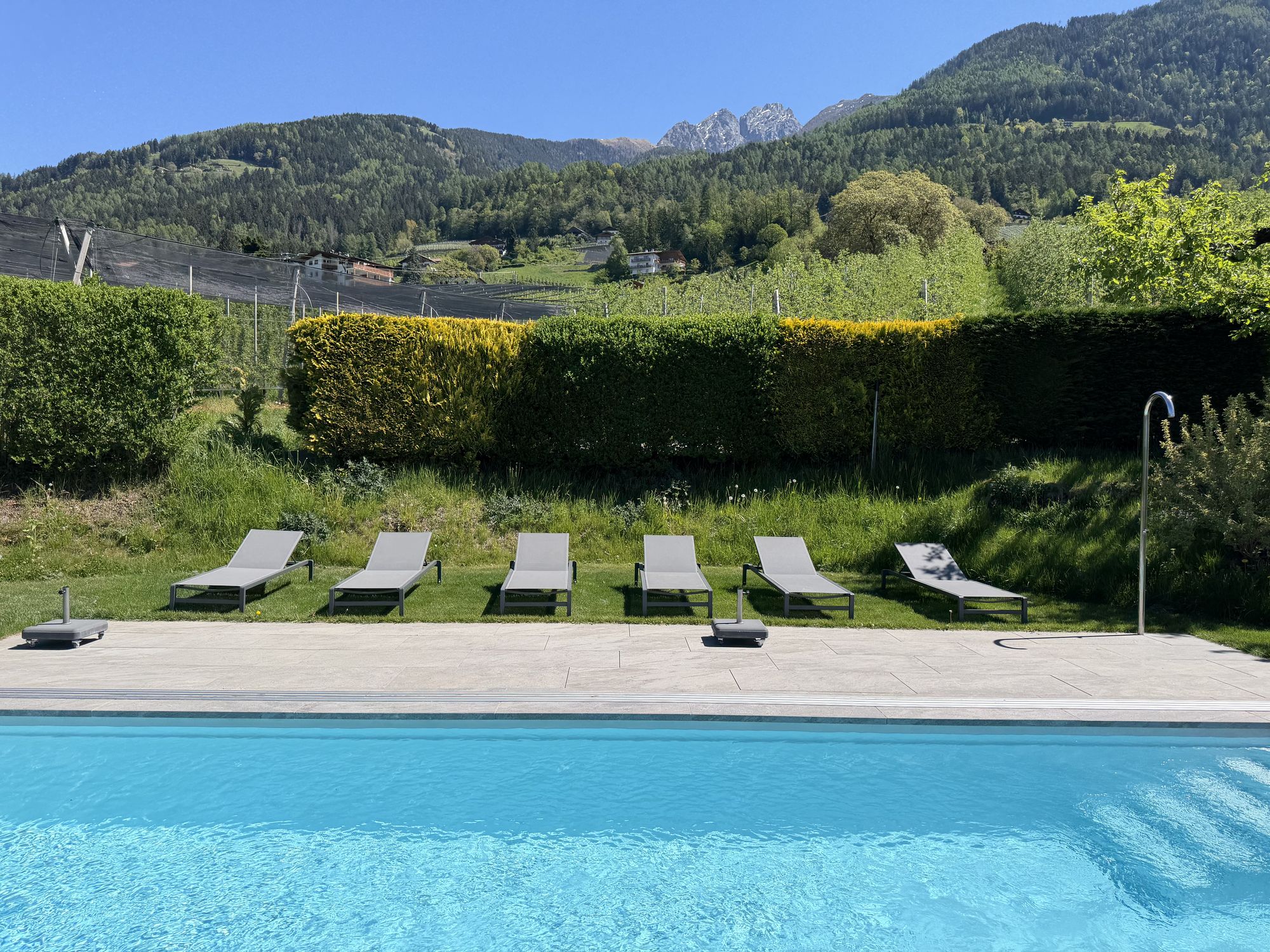 Sechs graue Sonnenliegen stehen auf einer grünen Wiese vor einer Hecke, im Vordergrund ist ein hellblauer Pool zu sehen, im Hintergrund Berge.