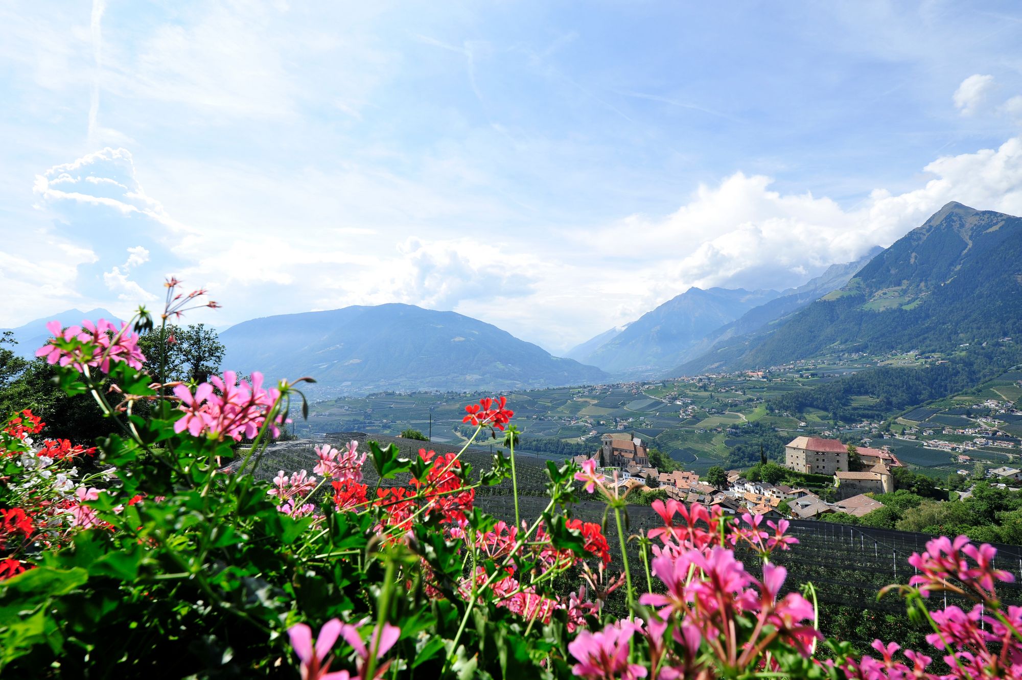 Blick auf ein Tal mit Blumen im Vordergrund und Bergen im Hintergrund bei klarem Himmel.